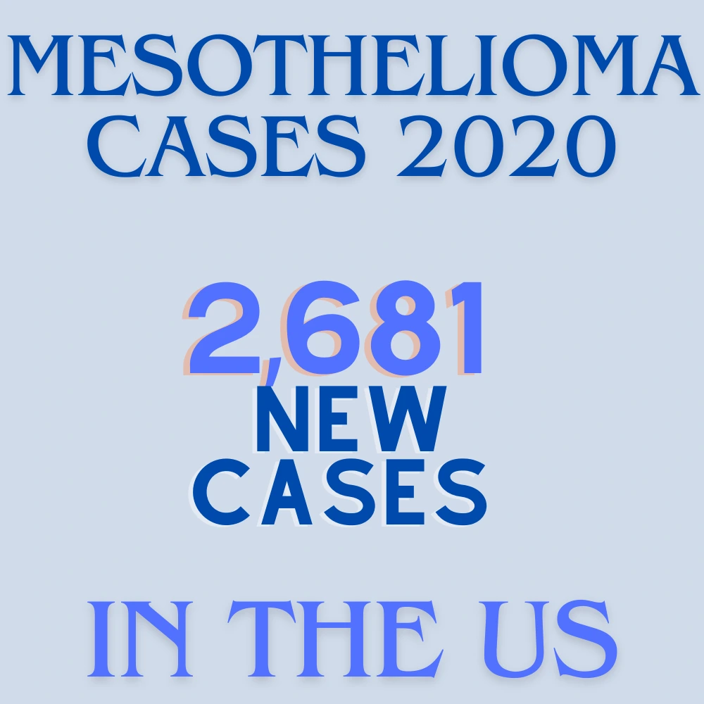 Mesothelioma cases in 2020.