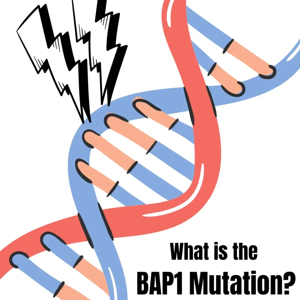 What is the BAP1 mutation?