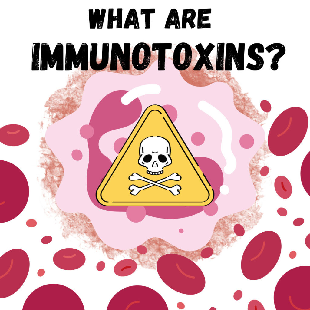 What are immunotoxins?