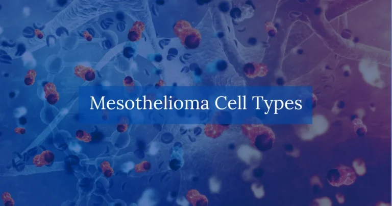 Mesothelioma Cell Types