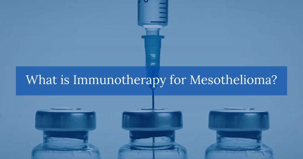What is Immunotherapy for Mesothelioma