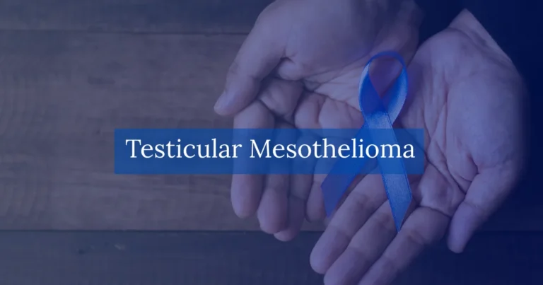 Testicular Mesothelioma