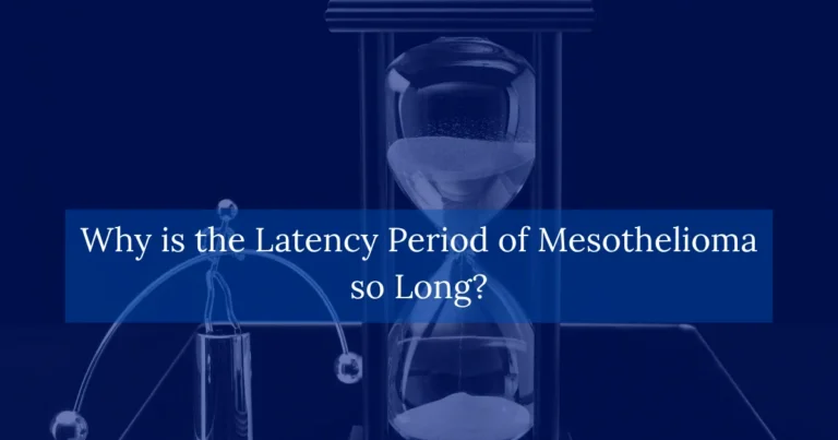 Why is the Latency Period of Mesothelioma so Long
