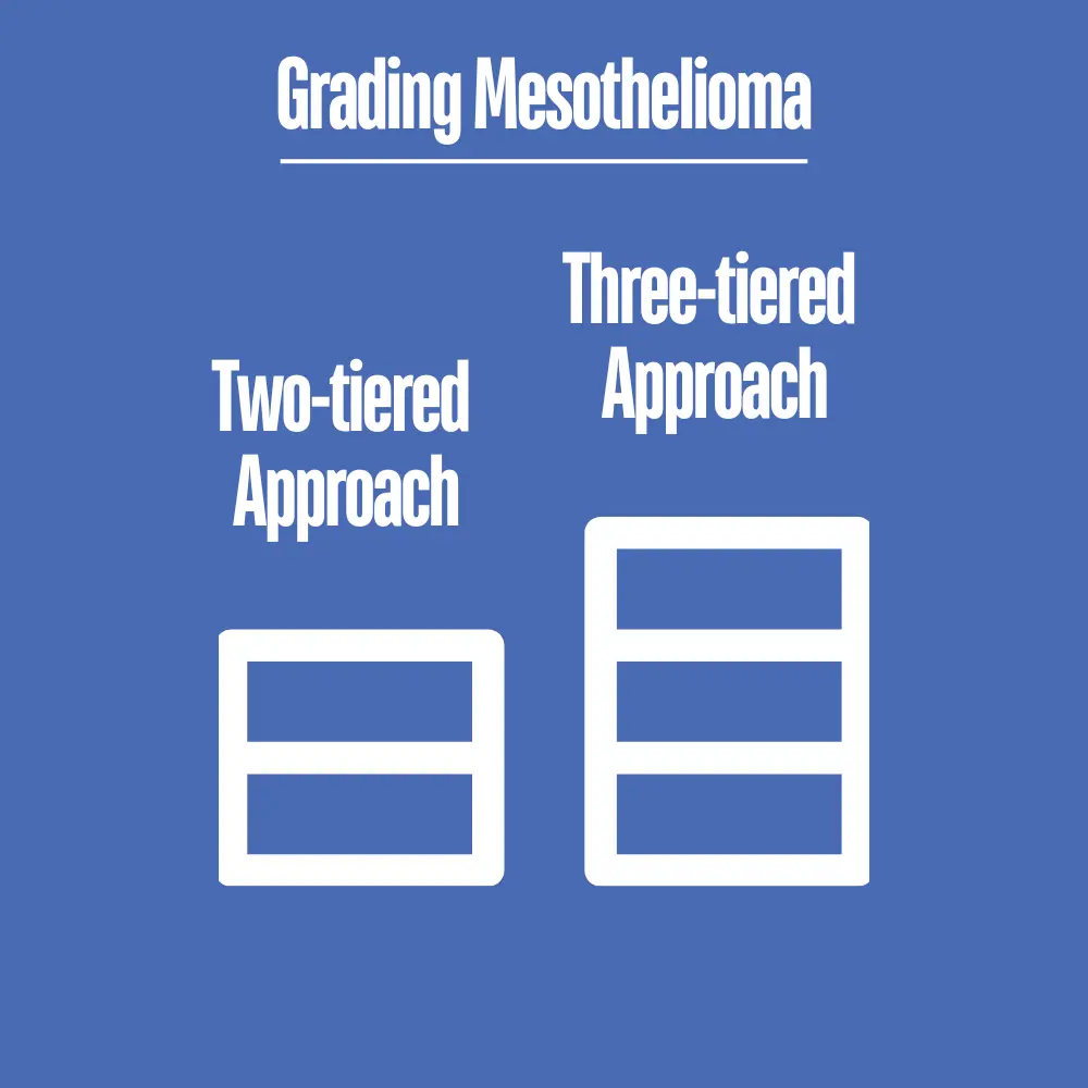 Grading Mesothelioma