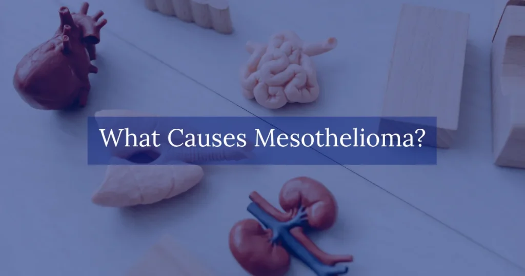 What Causes Mesothelioma