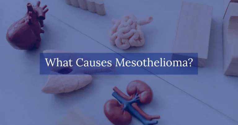 What Causes Mesothelioma