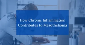 How Chronic Inflammation Contributes to Mesothelioma