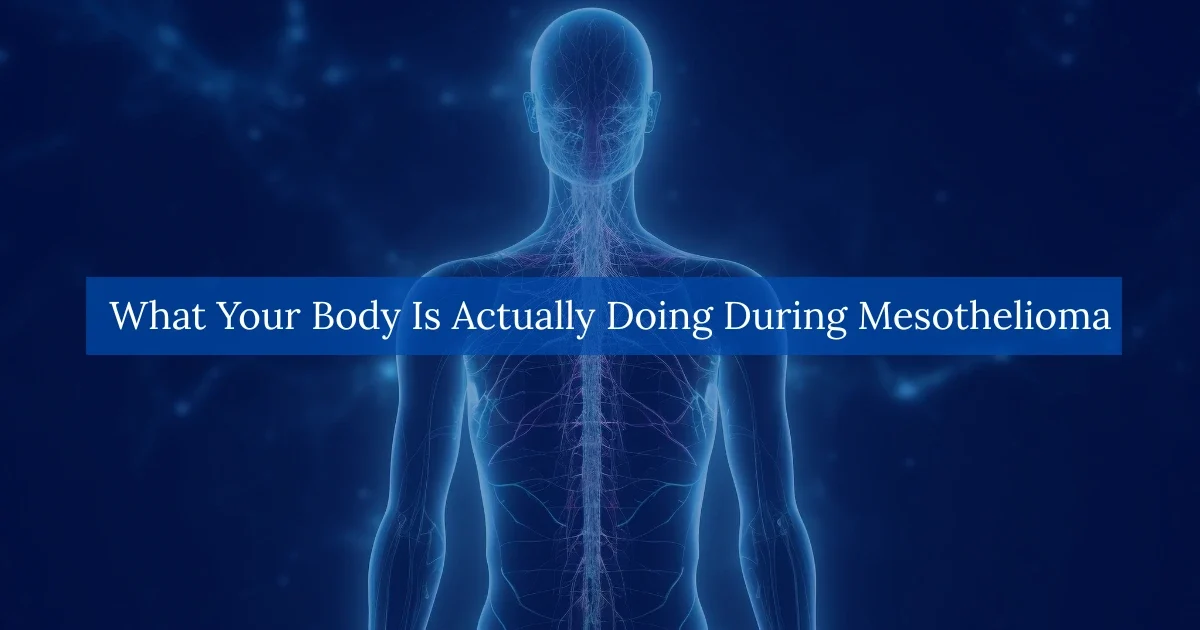 What-Your-Body-Is-Actually-Doing-During-Mesothelioma