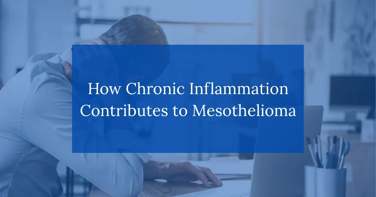 How Chronic Inflammation Contributes to Mesothelioma